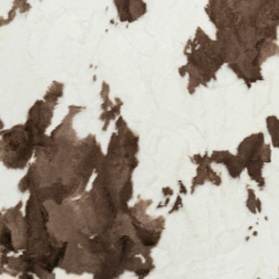 Brown Cow (Luxe)